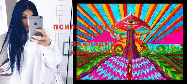 стафф Абинск