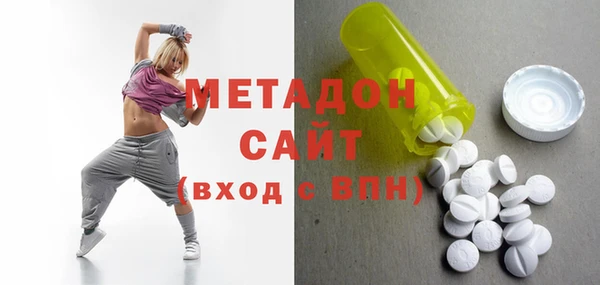 индика Вяземский