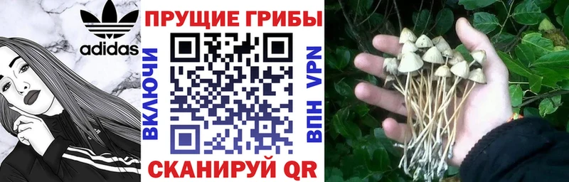 Галлюциногенные грибы ЛСД мориарти формула Стерлитамак